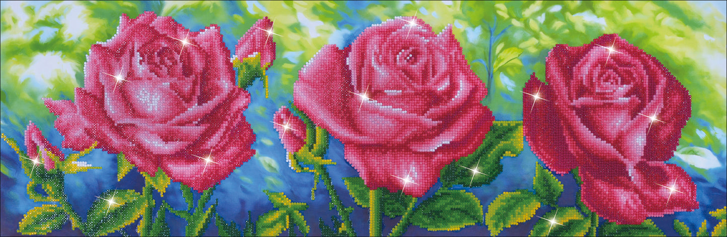 Diamond Dotz Diamond Embroidery Facet Art Kit 35.5"13.75"-Les Roses du Jardin