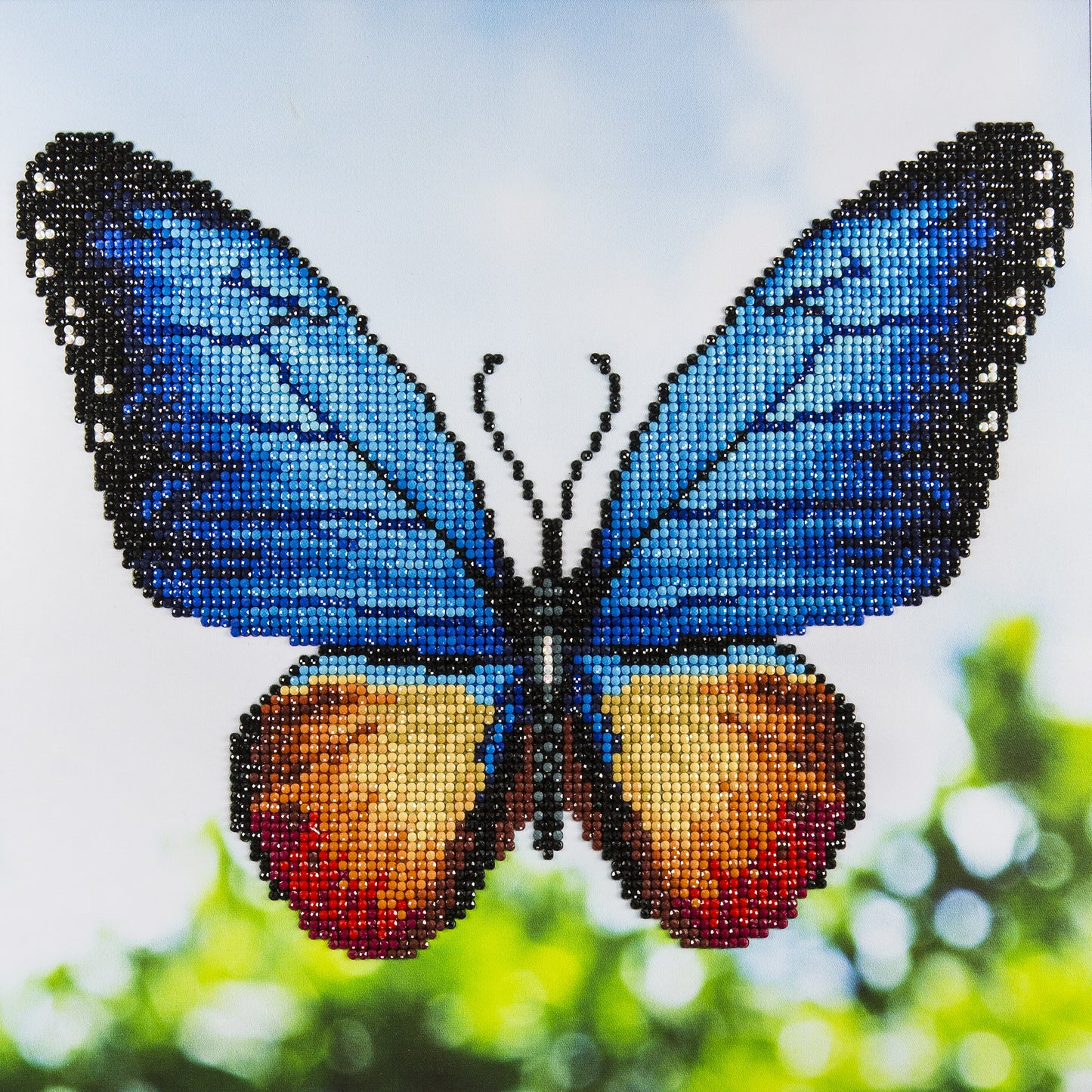 Leisure Arts Diamond Art Intermediate Kit 12"X12"-Butterfly