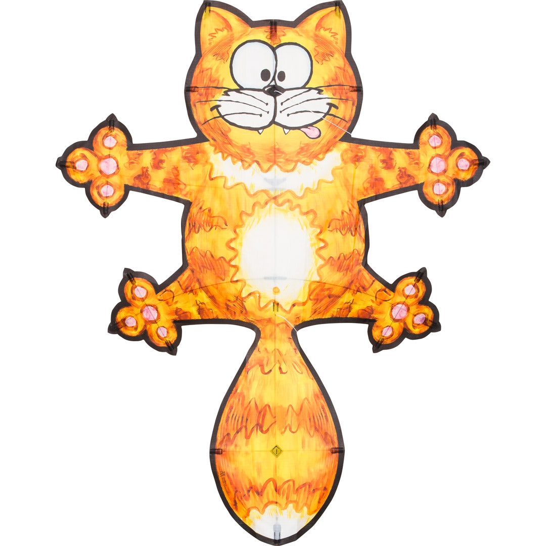 Crazy Cat Kite