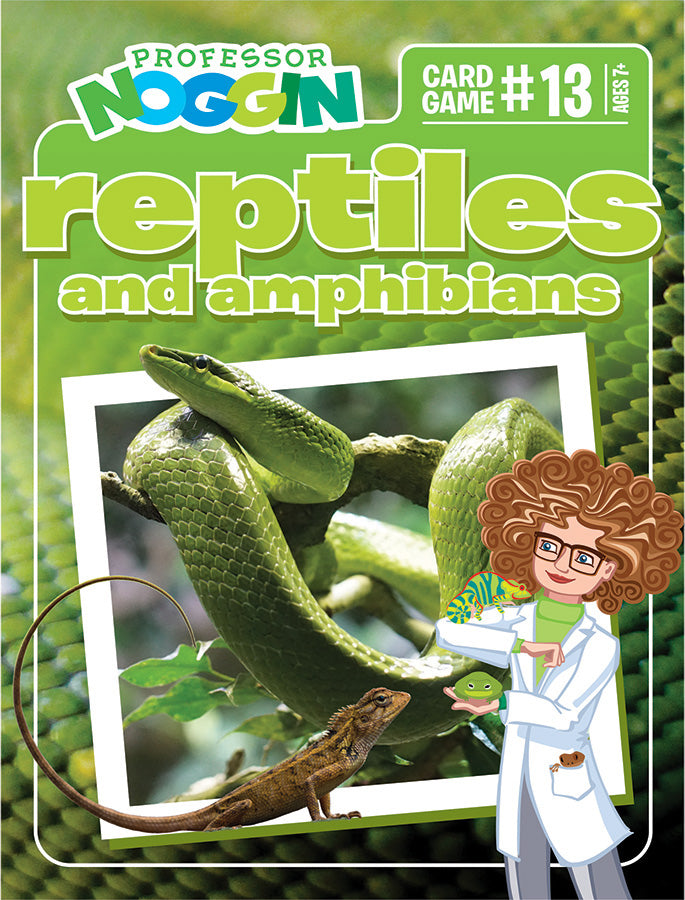 Prof. Noggin Reptiles and Amphibians