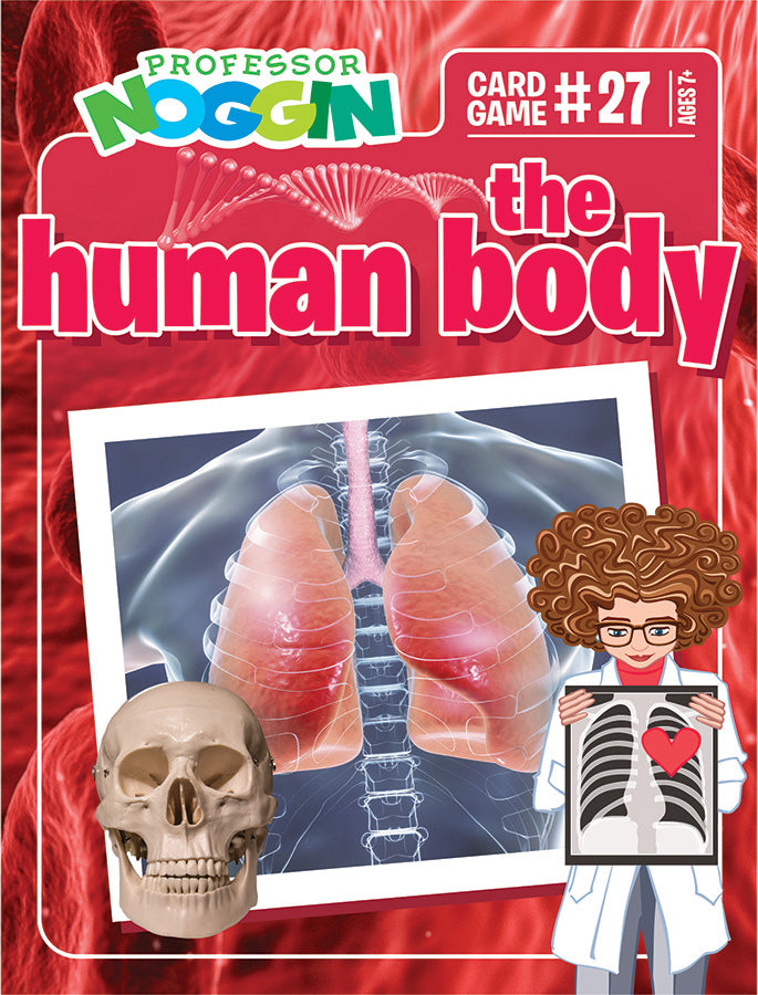 Prof. Noggin The Human Body
