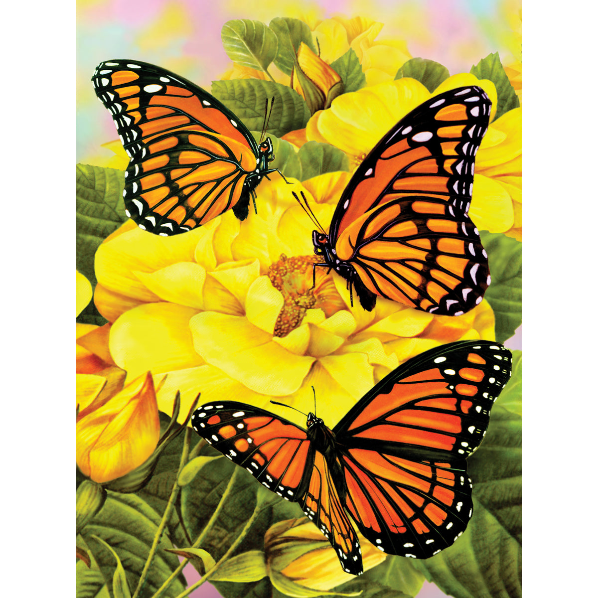 Junior Small Paint By Number Kit 8.75"X11.75"-Majestic Monarchs