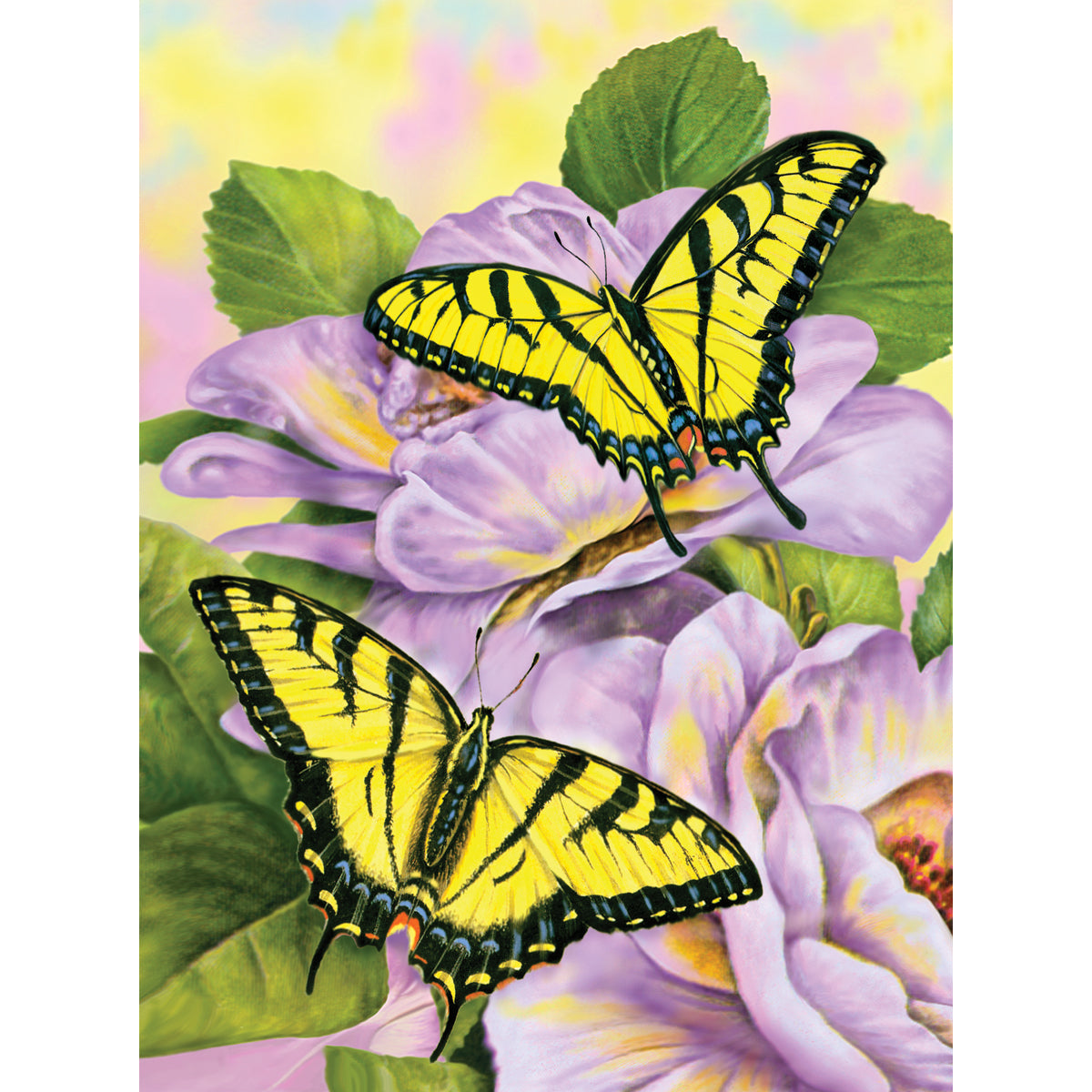 Junior Small Paint By Number Kit 8.75"X11.75"-Swallowtail Butterflies