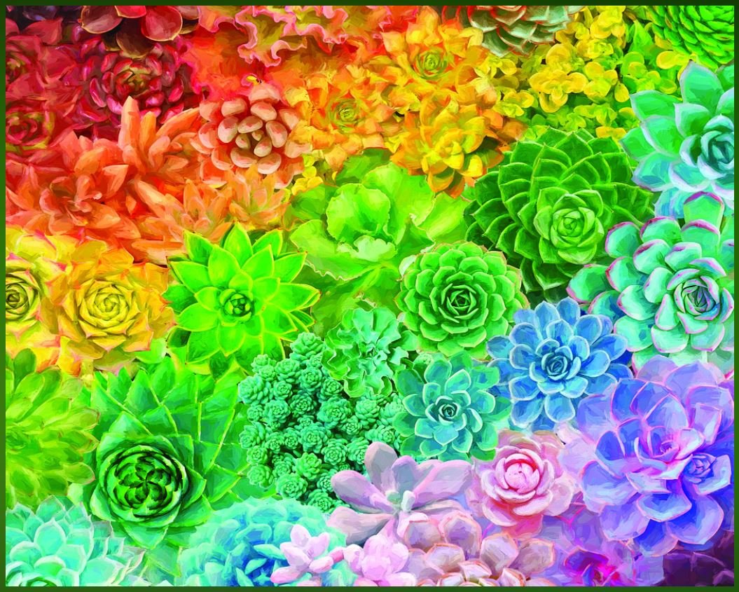 Succulent Rainbow (1569pz) - 1000 Piece Jigsaw Puzzle