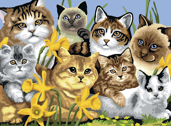 Junior Large Paint By Number Kit 15.25"X11.25"-Cats Montage
