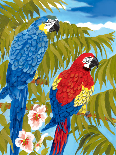 Junior Small Paint By Number Kit 8.75"X11.75"-Parrots