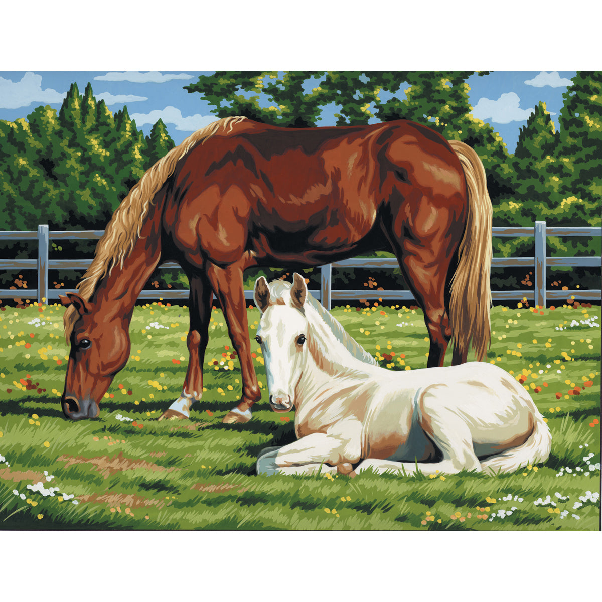 Paint By Number Kit Artist Canvas Series 11"X14"-Horses In Field