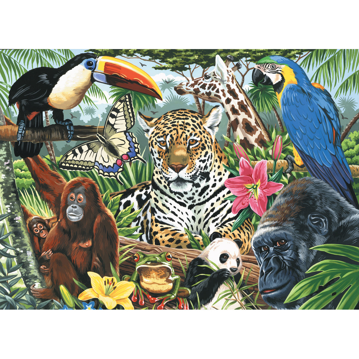 Paint By Number Kit Artist Canvas Series 11"X14"-Zoo Montage