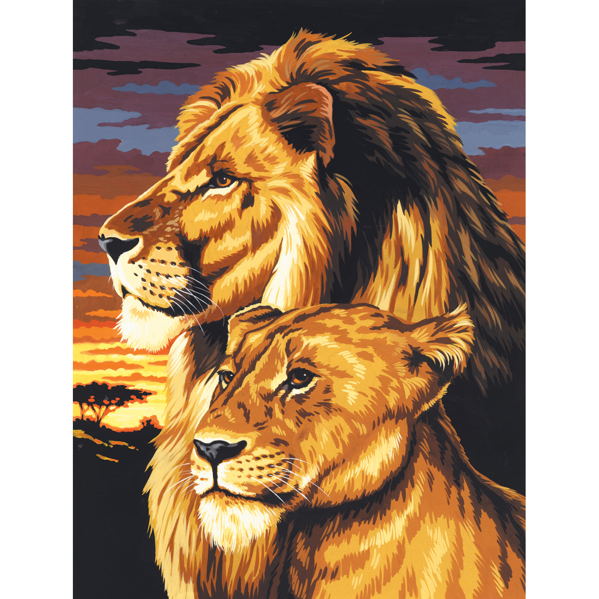 Paint By Number Kit Artist Canvas Series 9"X12"-Lion & Lioness