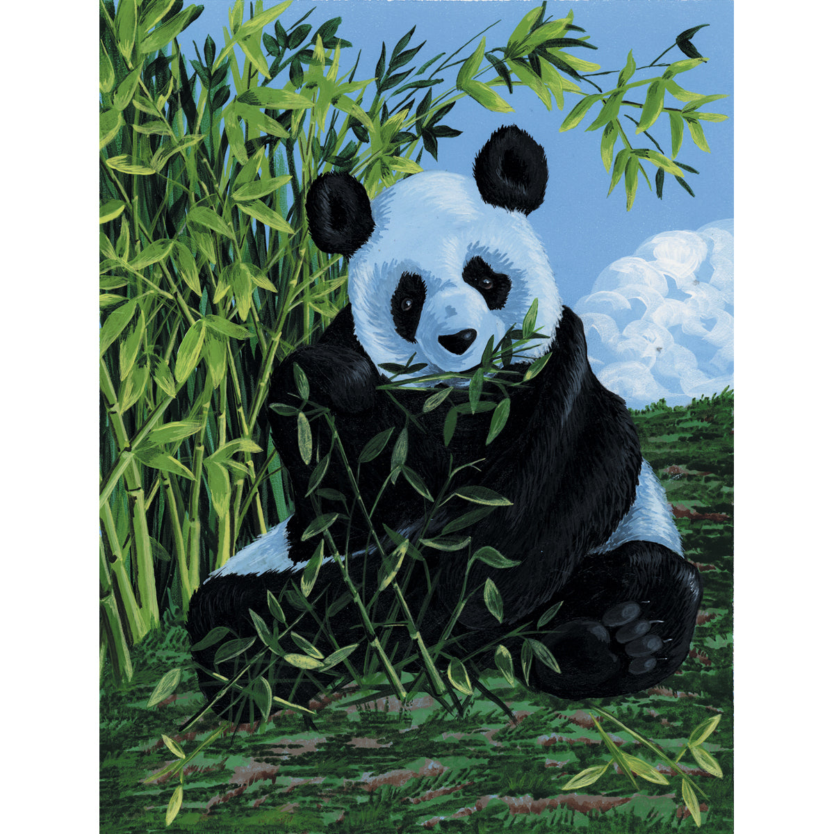 Paint By Number Kit Artist Canvas Series 9"X12"-Panda