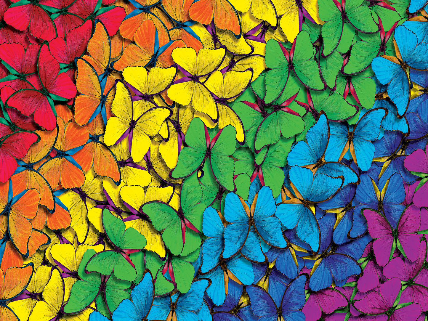 Brilliance - Fluttering Rainbow 550pc Puzzle