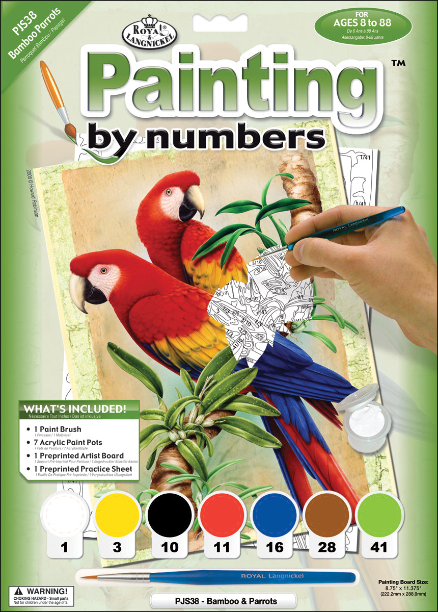 Junior Small Paint By Number Kit 8.75"X11.75"-Bamboo & Parrots
