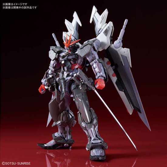 1/100 Gundam Astray Noir Hi-Resolution Model