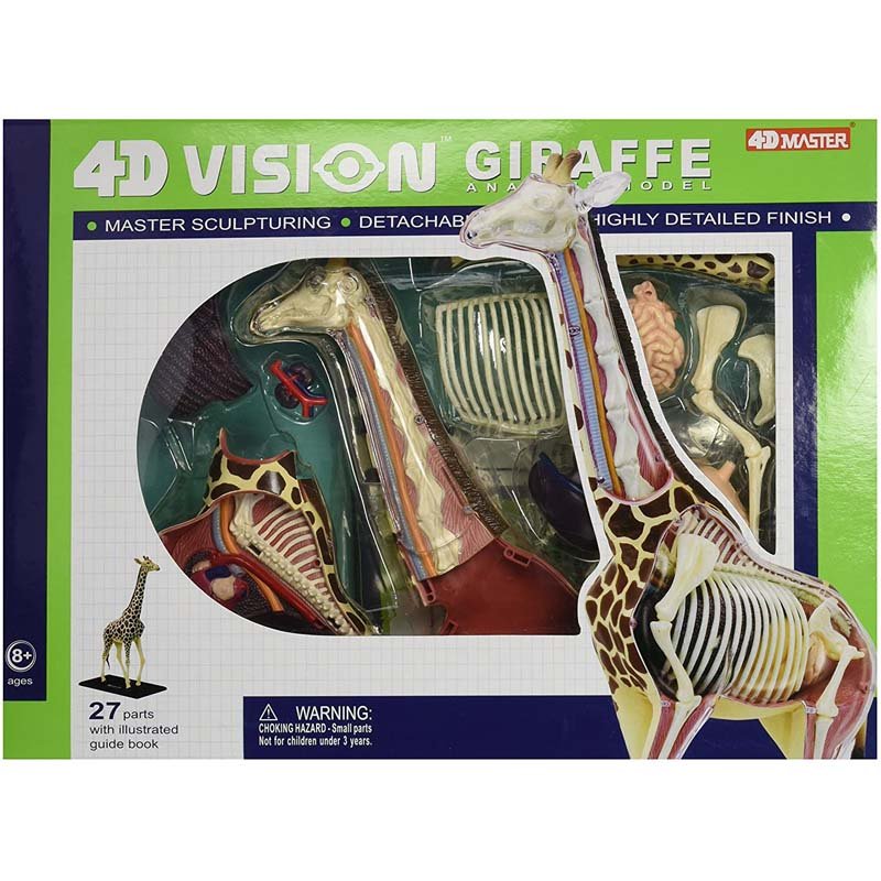 4D Vision Giraffe Anatomy