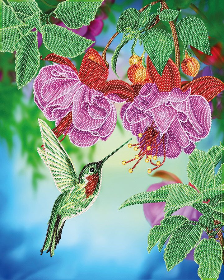 CA Mounted Kit (Lg): Hummingbird