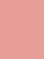 FW PEARLESCENT LIQUID ACRYLIC 1OZ PLATNIUM PINK