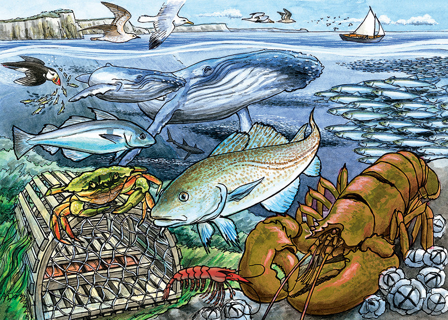 Life in the Atlantic Ocean (tray)