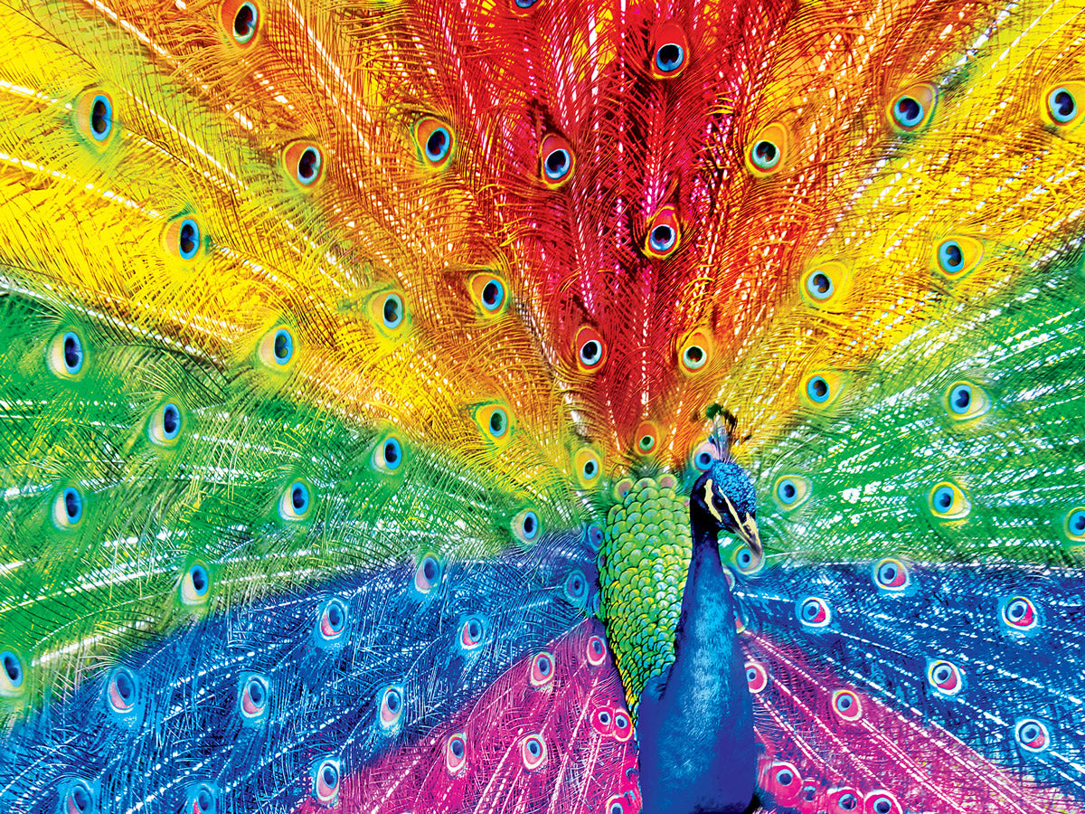 Brilliance - Peacock Delight 550pc Puzzle