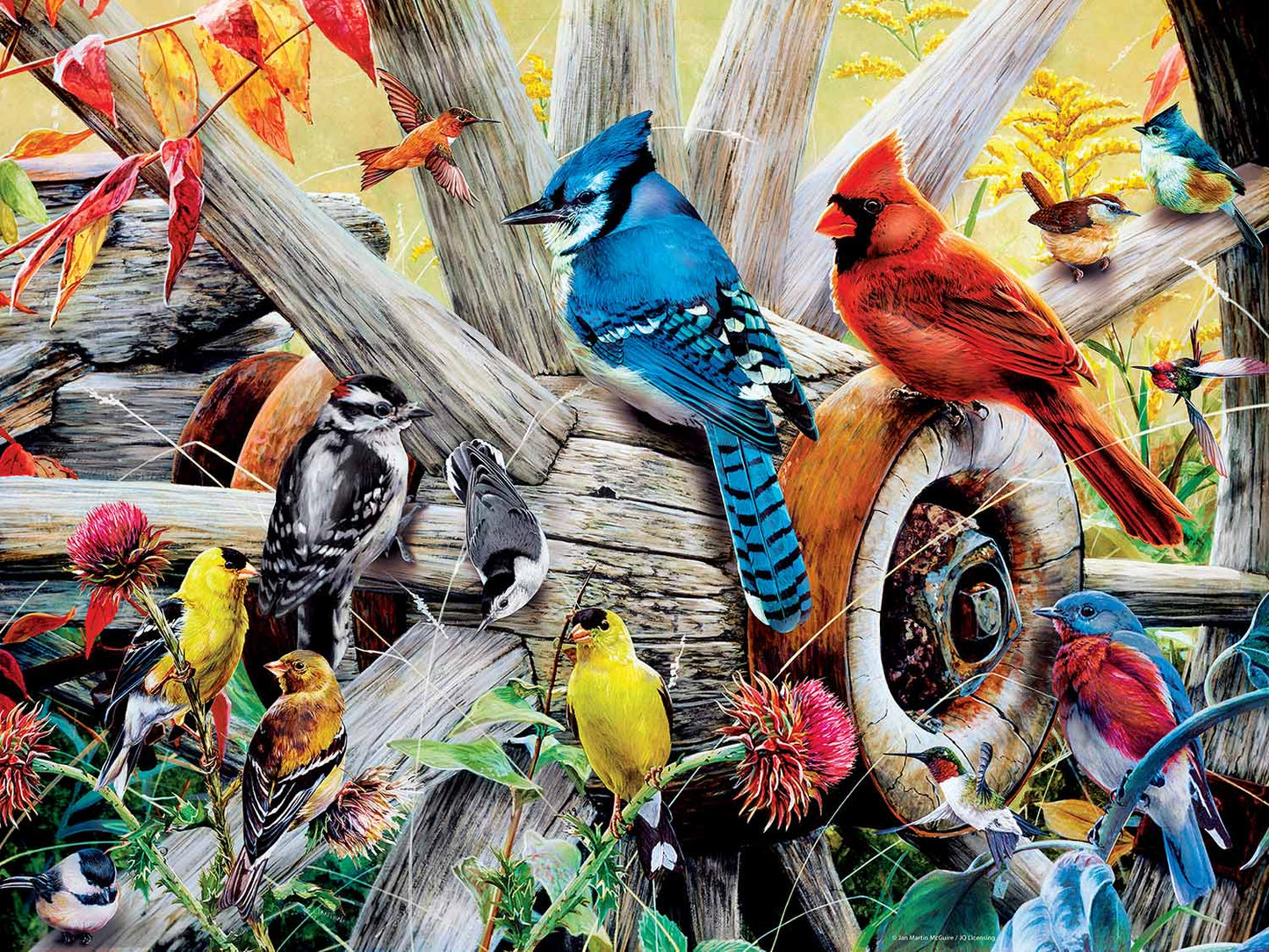 Backyard Birds 300 pc