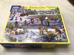 Skating Pond - Seek & Find (1674pz) - 1000 Piece Jigsaw Puzzle