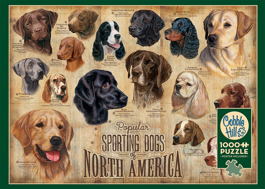 Sporting Dogs