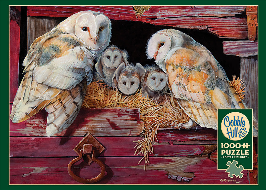 Barn Owls