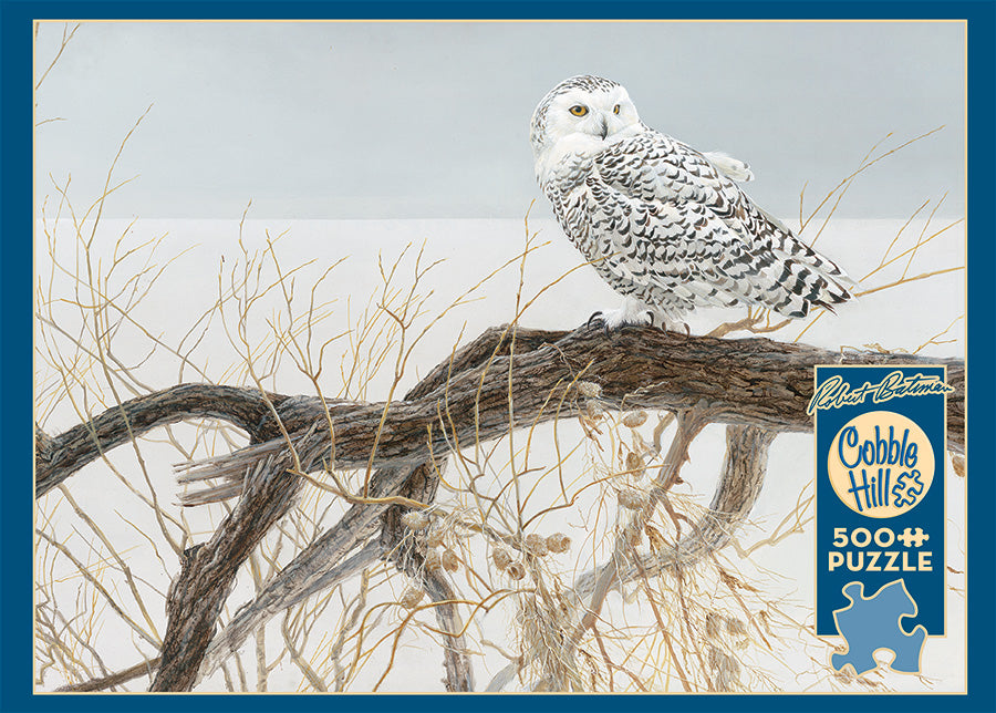 Fallen Willow Snowy Owl