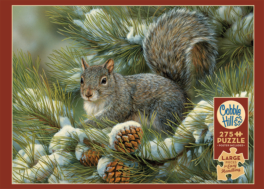 Gray Squirrel