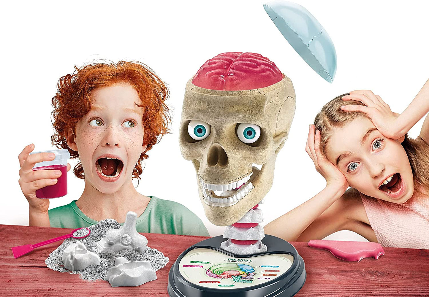 Crazy Anatomy Scientific Kit for Children-Ages 8+