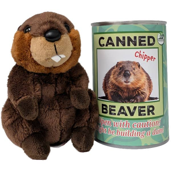 Chipper the canned beaver