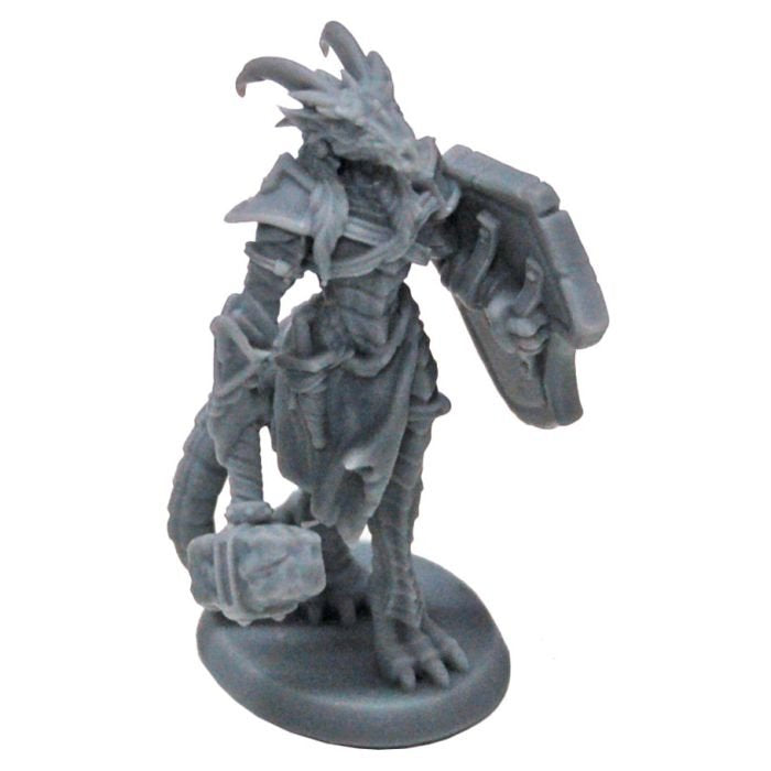 Tarmiczi Female Dragonblood Paladin