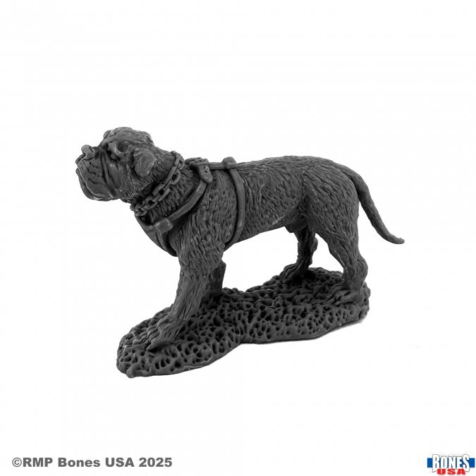 Garr War Dog
