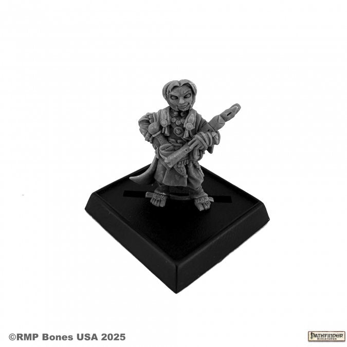 Lem Iconic Halfling Bard (2e)