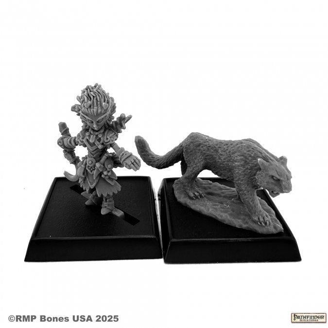 Lini and Droogami Iconic Gnome Druid (2e)