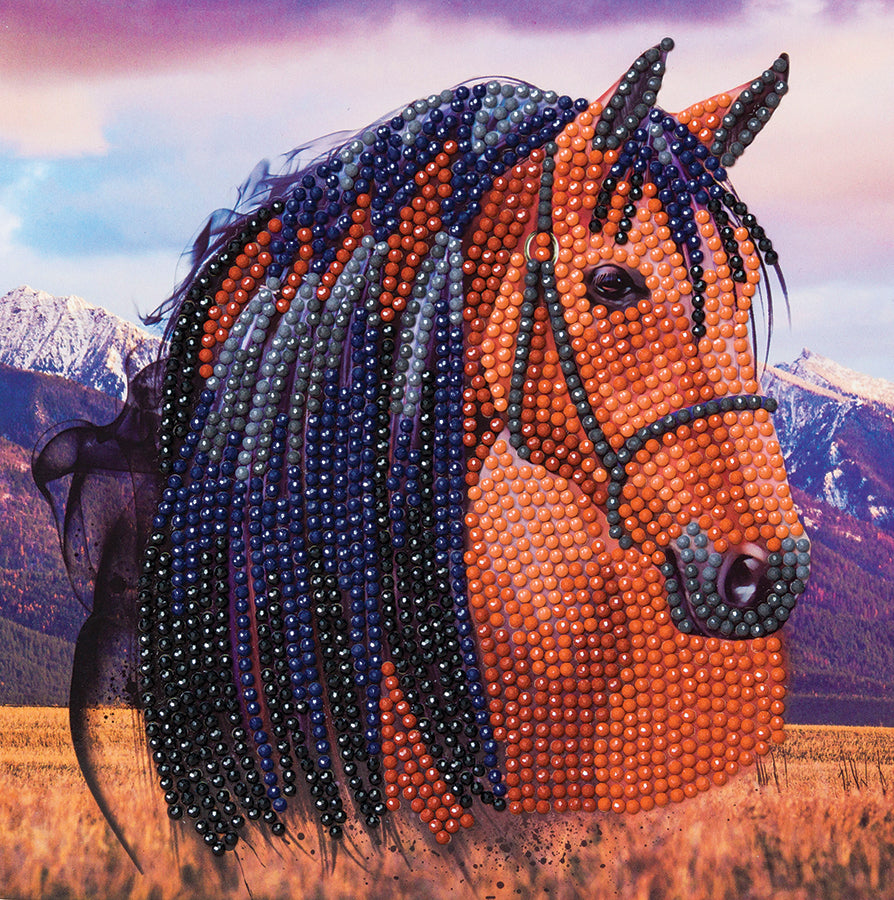 CA Card Kit: Horse