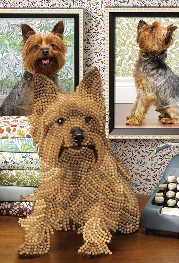 CA Notebook Kit: Cute Dog