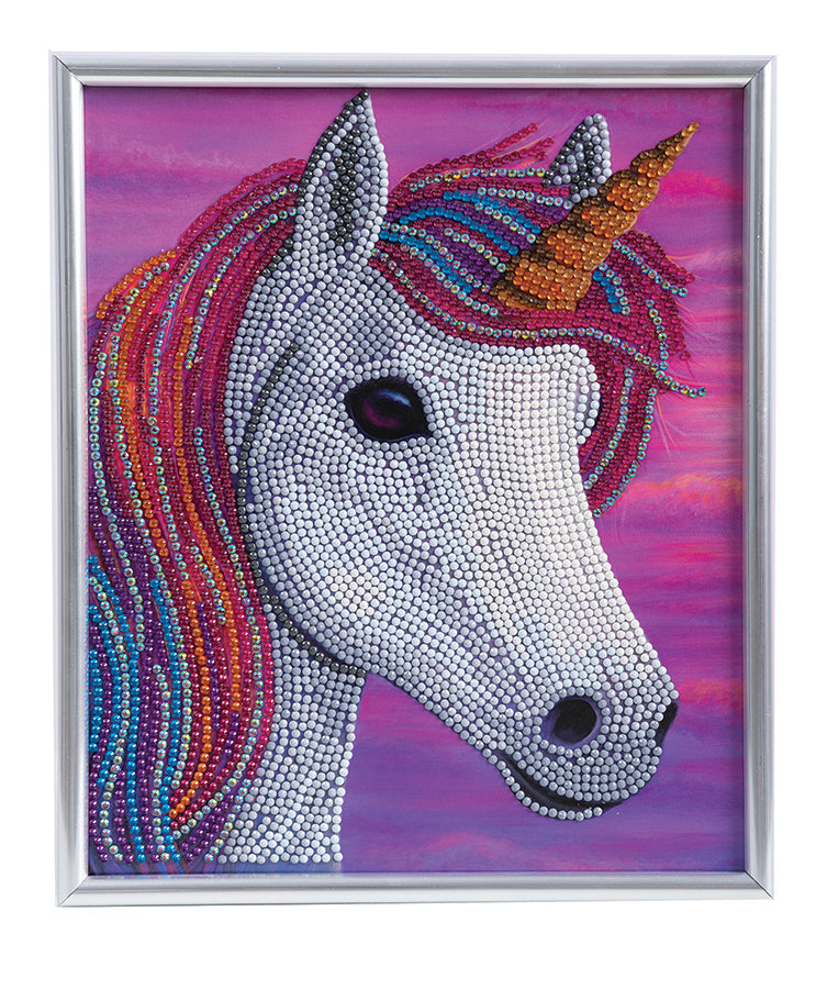 CA Silver Frame Kit: Unicorn Delights
