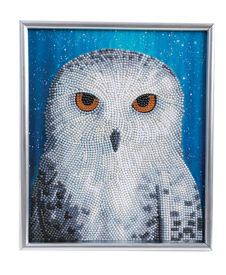 CA Silver Frame Kit: Snowy Owl by Night