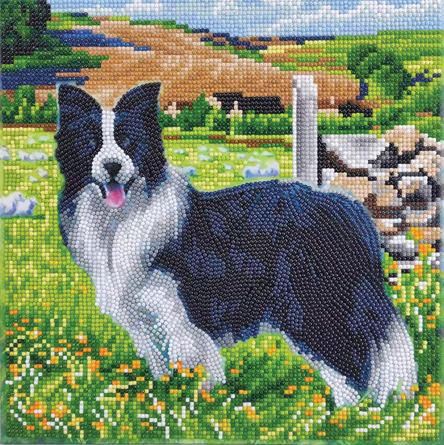 CA Mounted Kit (Med): Pup in the Field