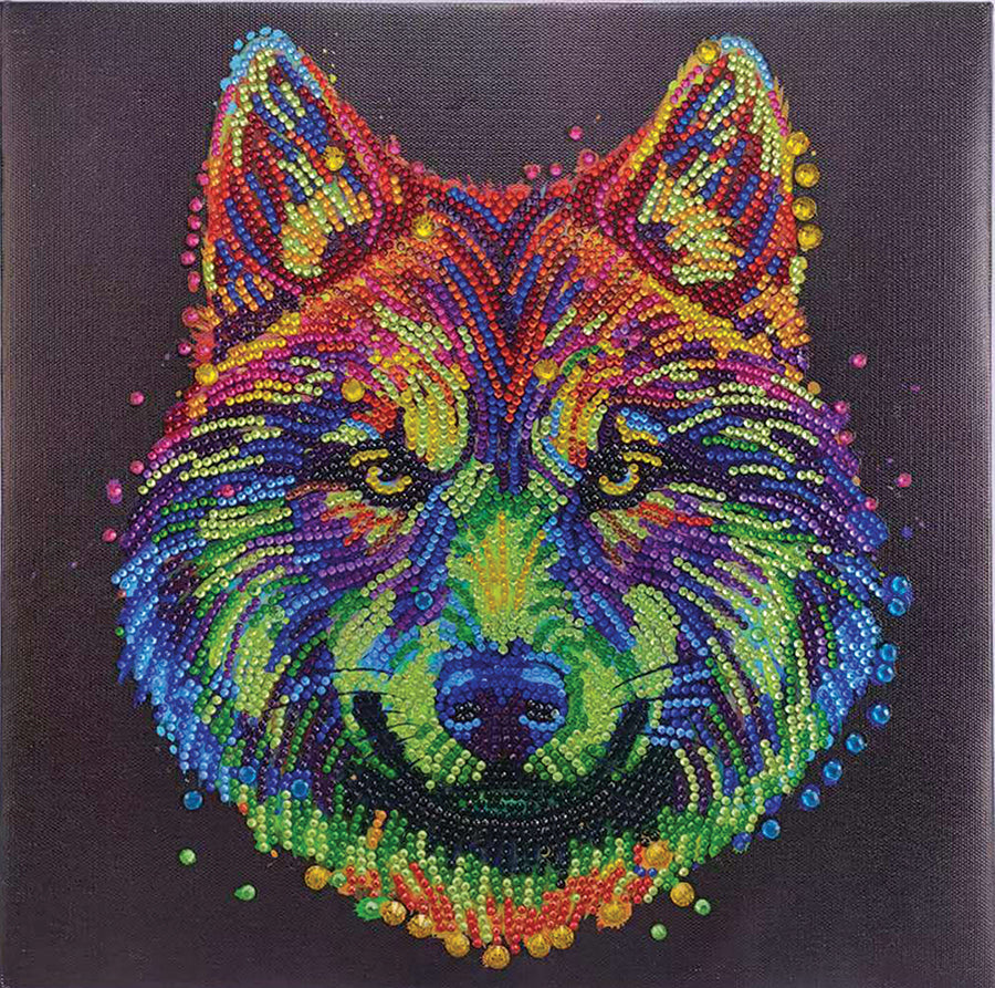 CA Mounted Kit (Med): Colorful Wolf