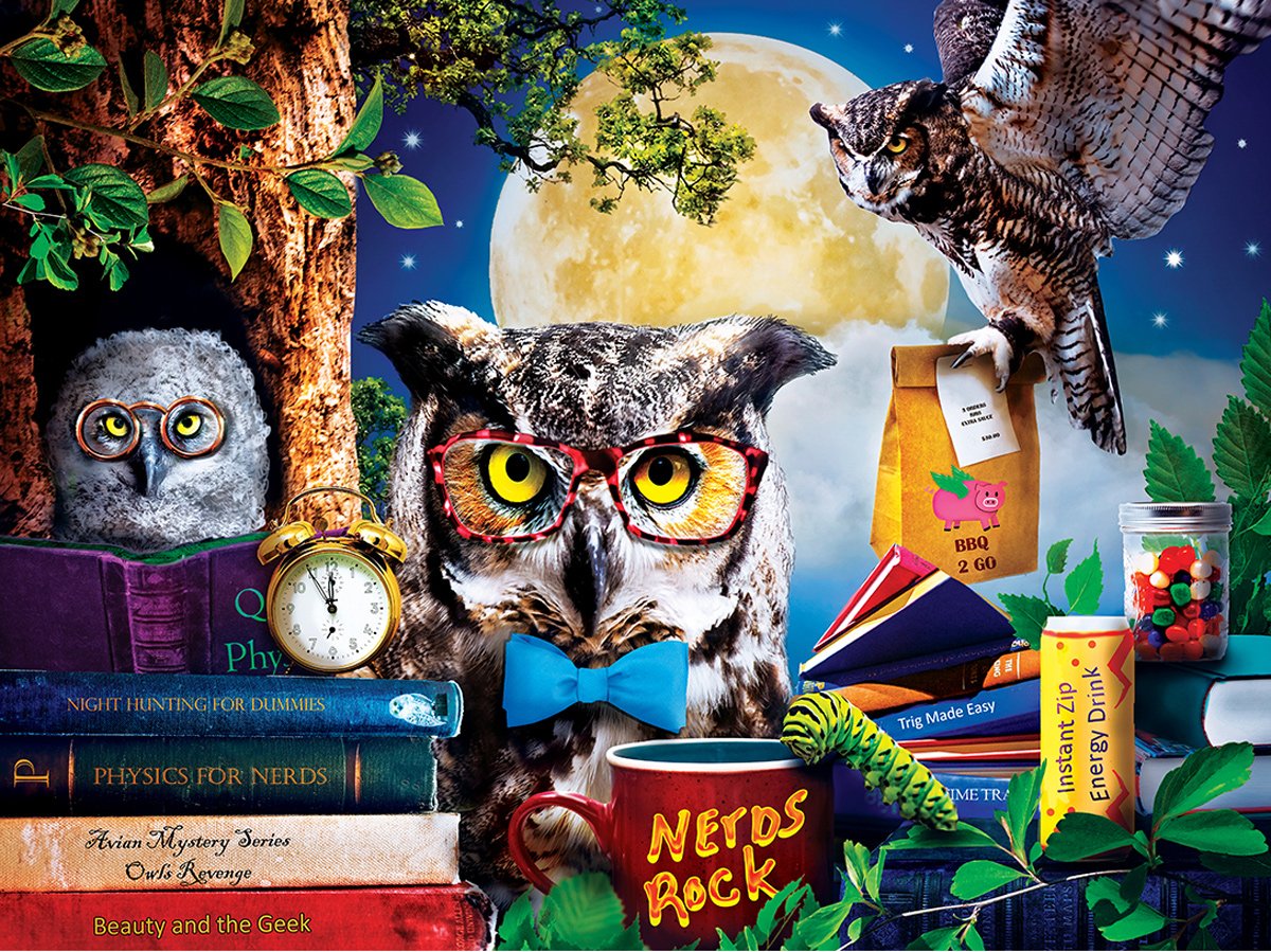 Wild & Whimsical - Night Owls Study Group 300pc EzGrip Puzzle
