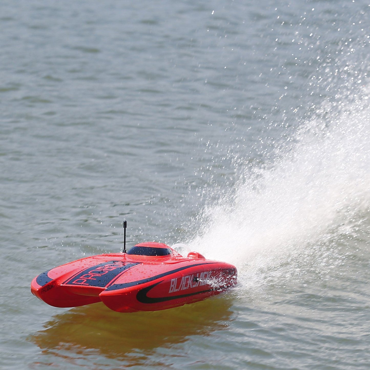 Blackjack 24-inch Catamaran Brushless: RTR