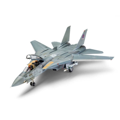 1/48 F - 14 Tomcat Classic