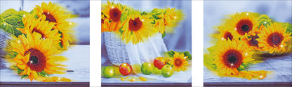Diamond Dotz Diamond Embroidery Facet Art Kit 59"X19.75"-Sunflower Days