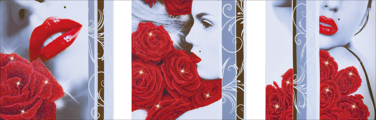 Diamond Dotz Diamond Embroidery Facet Art Kit 59"X21.5"-Rose Romance