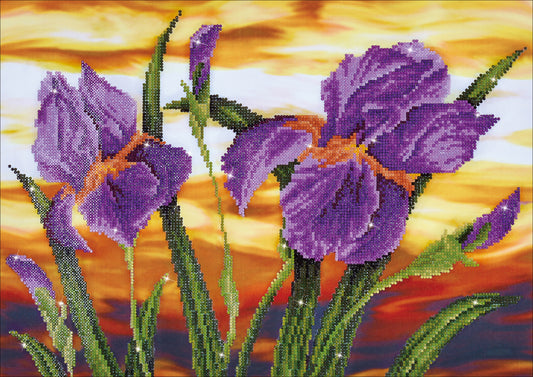 Diamond Dotz Diamond Embroidery Facet Art Kit 23.5"X17.75"-Iris Sunset