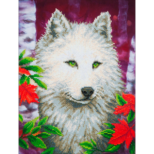 Diamond Dotz Diamond Embroidery Facet Art Kit 23"X19"-White Wolf
