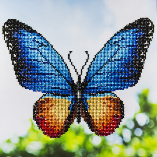 Leisure Arts Diamond Art Intermediate Kit 12"X12"-Butterfly