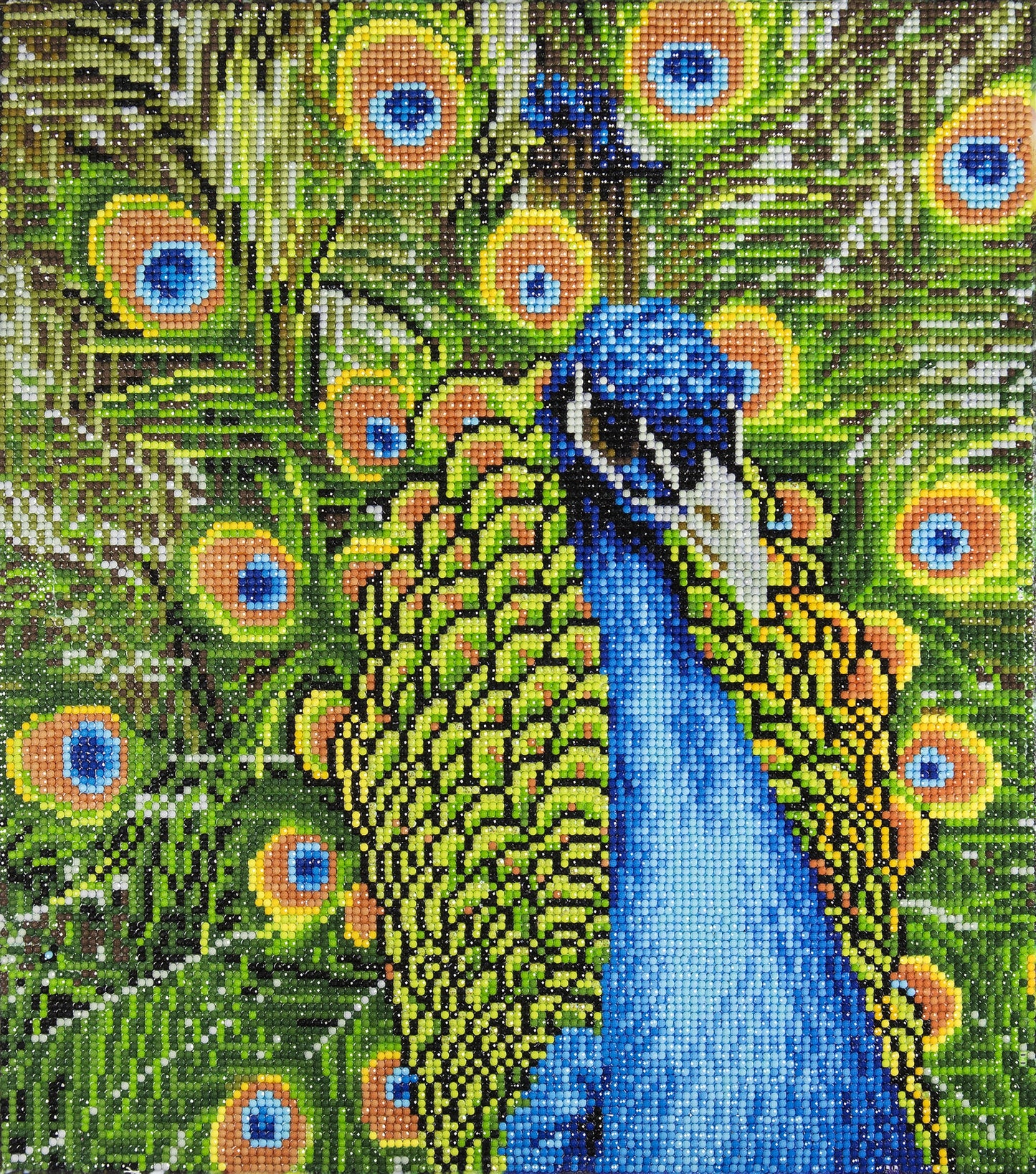 Leisure Arts Diamond Art Advanced Kit 14"X16"-Peacock