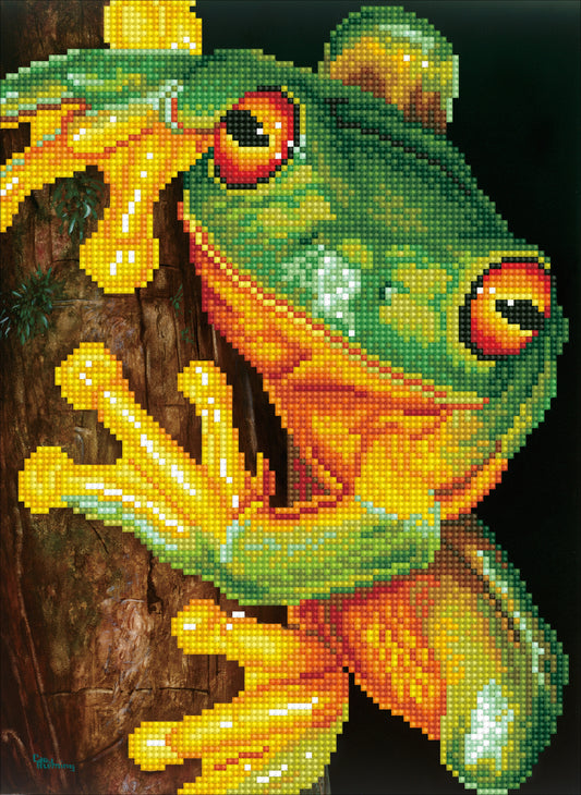 Diamond Dotz Diamond Embroidery Facet Art Kit 16.5"X12.6"-Green Tree Frog